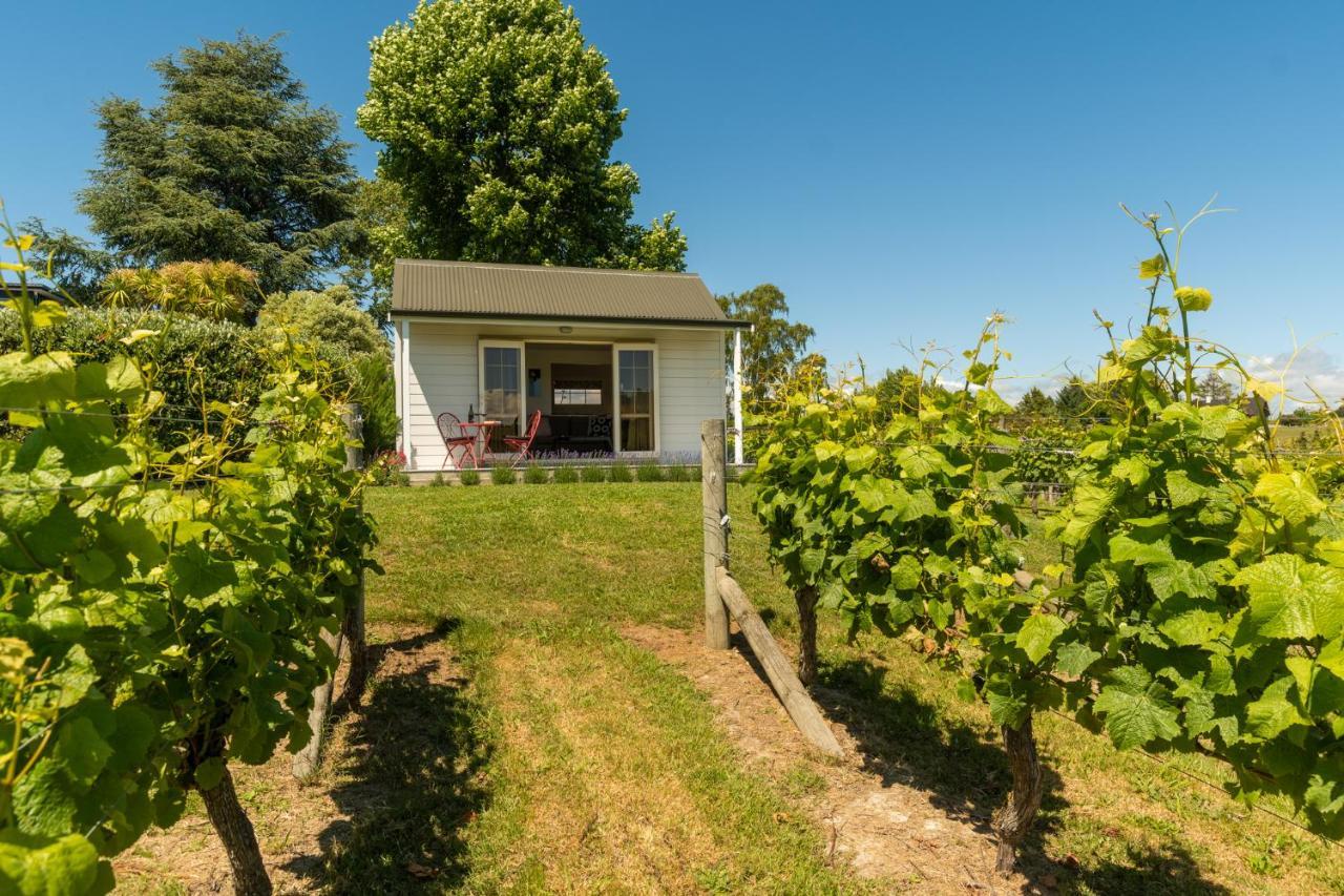 Kina Beach Cottages Tasman Dış mekan fotoğraf
